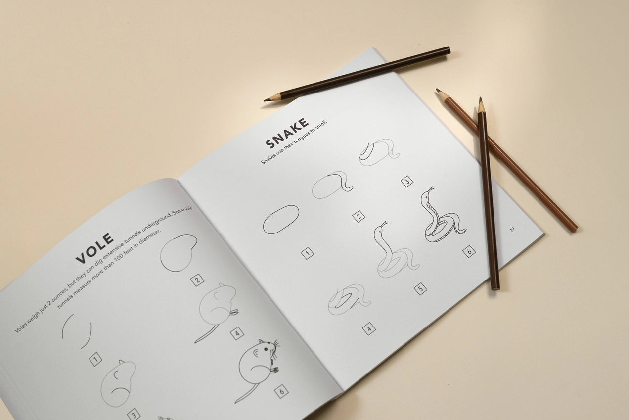 Mushrooms & Woodland Creatures: Kids How To Draw Book