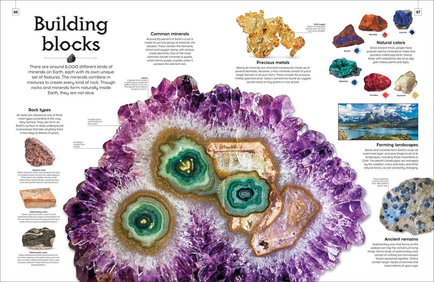 Shapes Of Nature