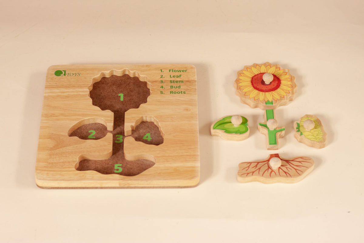 Montessori Parts of a Plant Puzzle