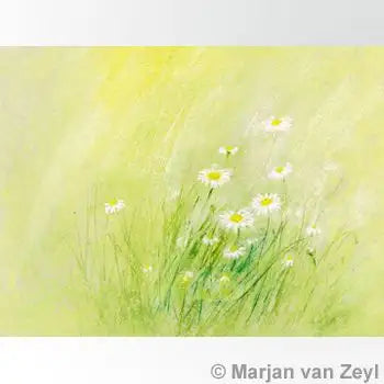 Postcard Marjan van Zeyl - Daisies