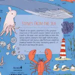Ocean Anatomy