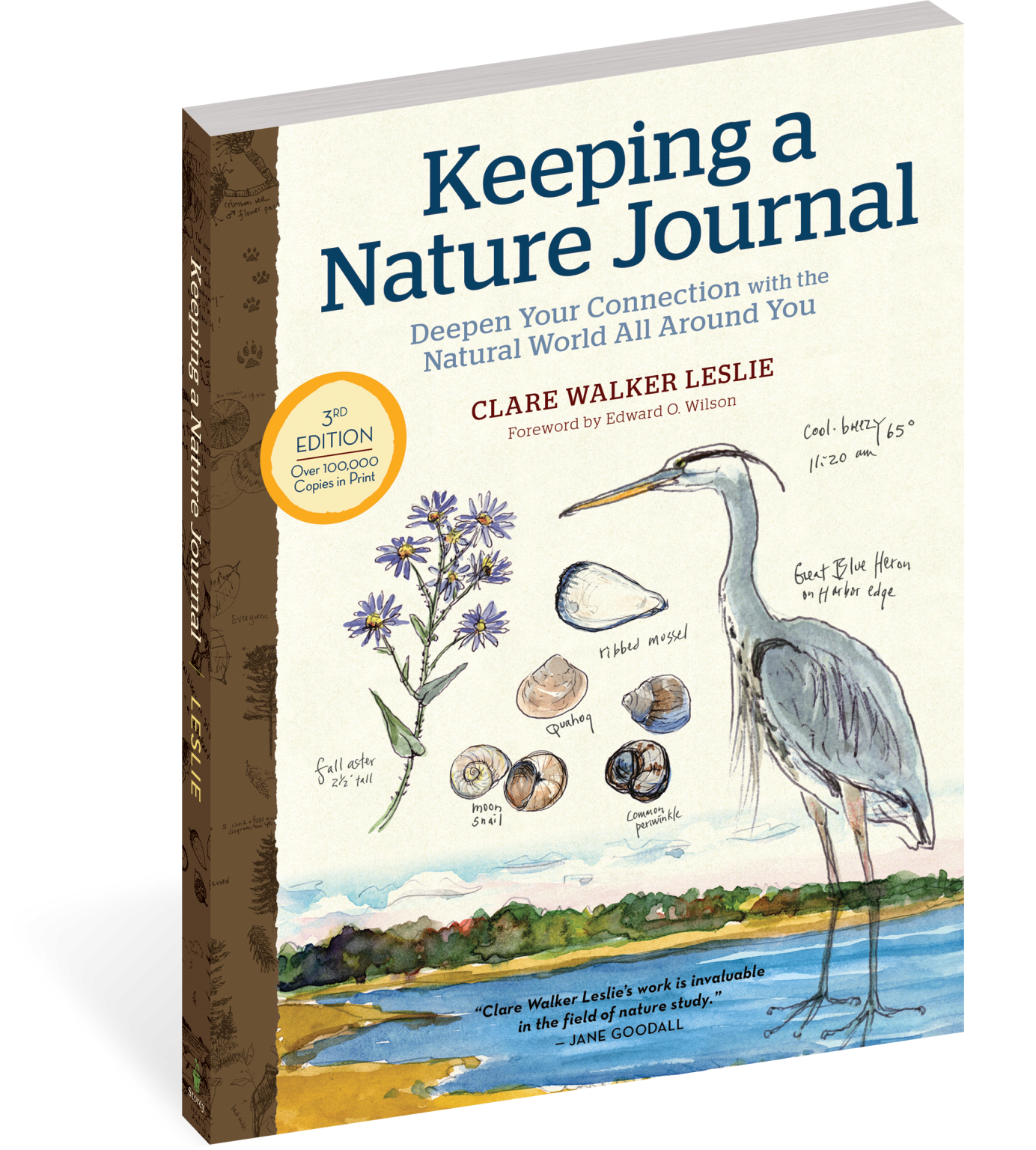 Keeping a Nature Journal, 3rd Edition