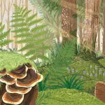 Backpack Explorer Stickers: Bug Adventure