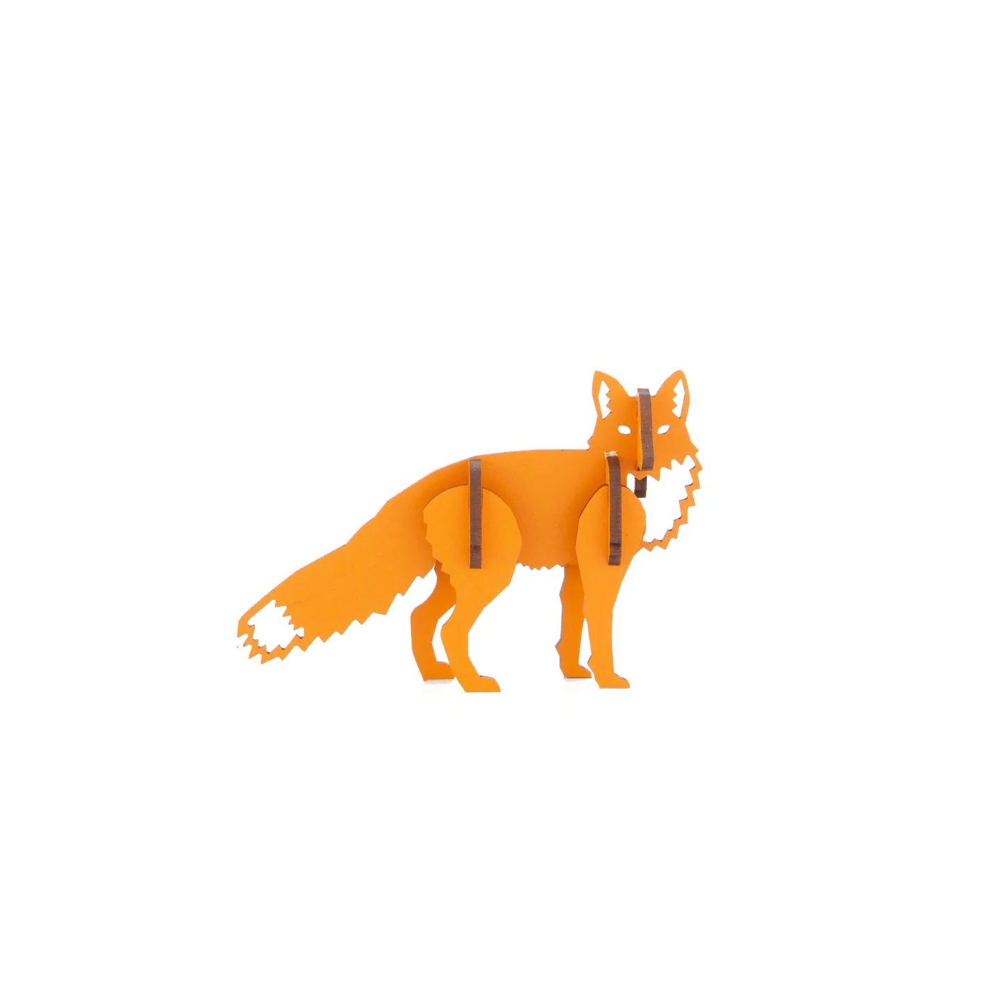 Curious Fox - S / Orange