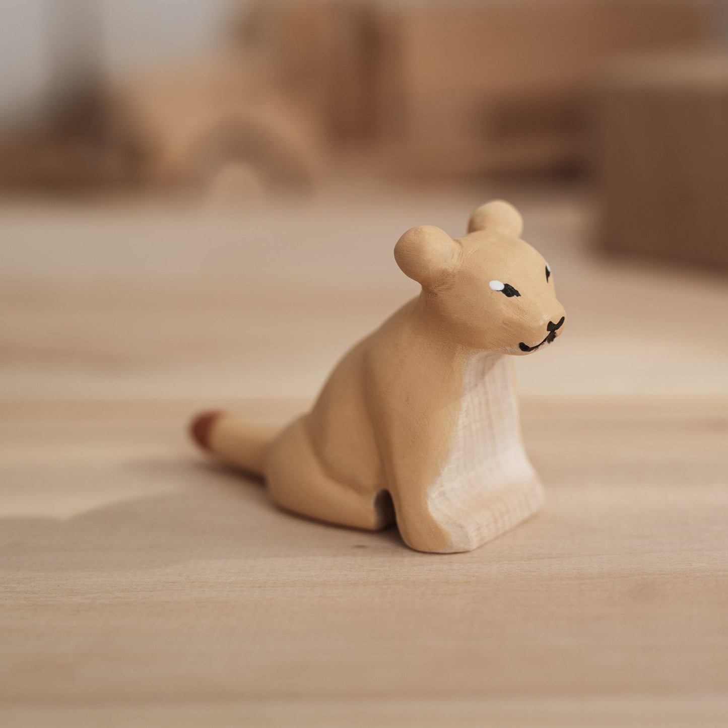 Lion cub - sitting