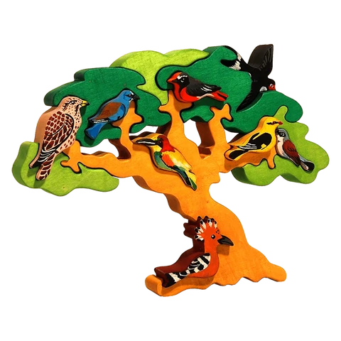 Migratory Birds Puzzle