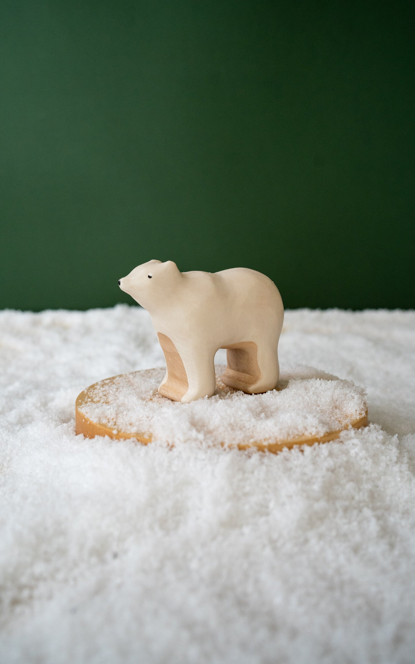Polar bear