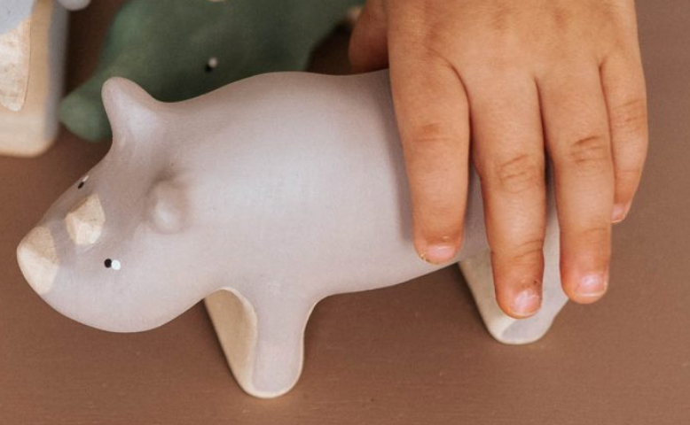 Rhinoceros