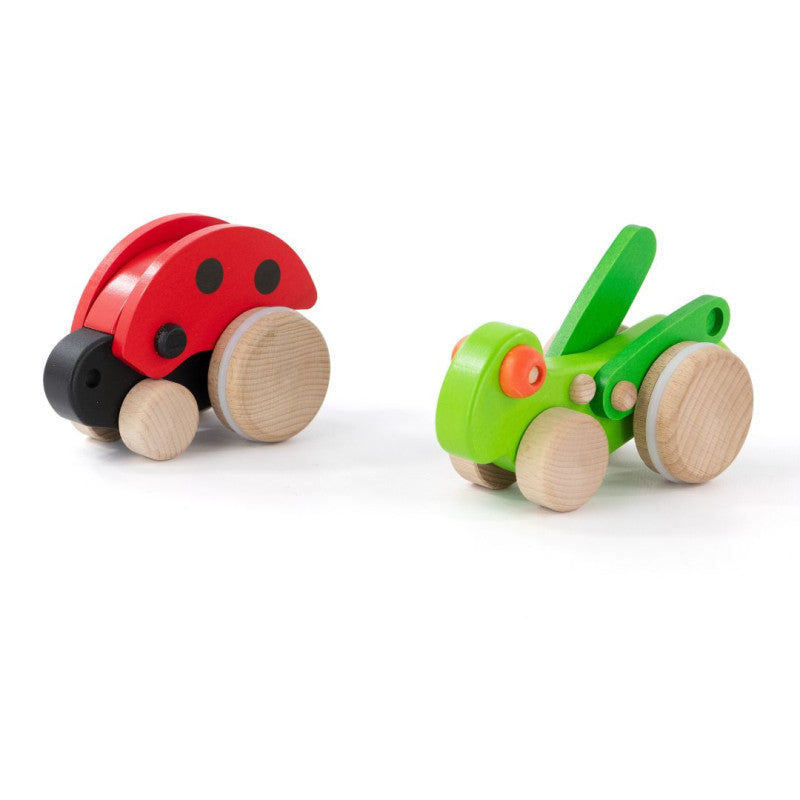 Big ladybird