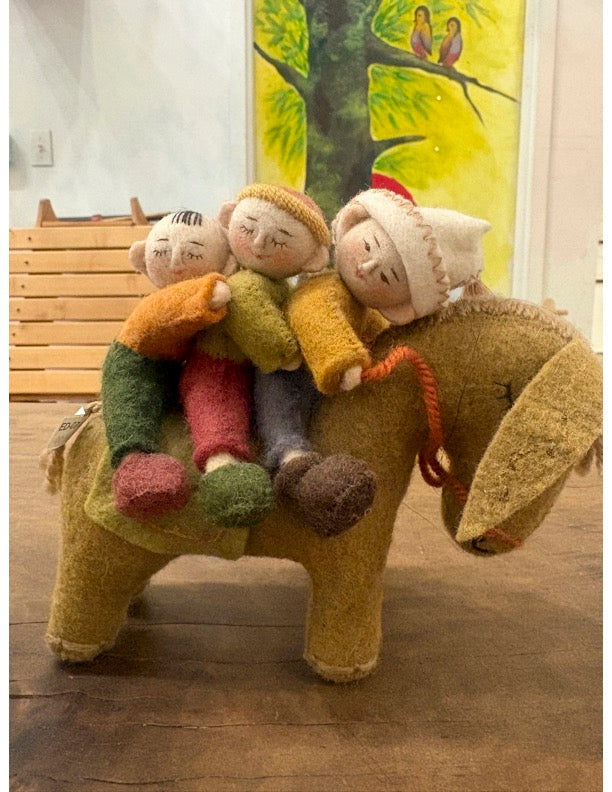 family riding a donkey