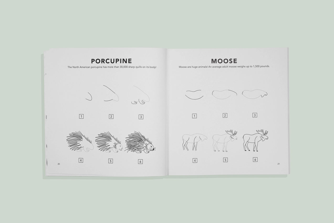 Mushrooms & Woodland Creatures: Kids How To Draw Book
