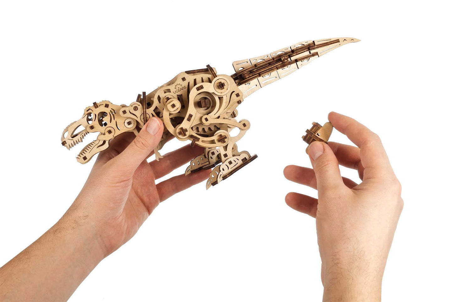 Tyrannosaurus Rex