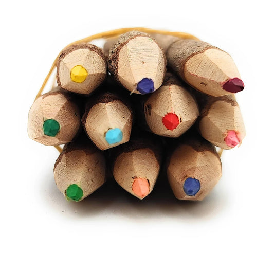 3.5 Inch Jungle Vine Pencils