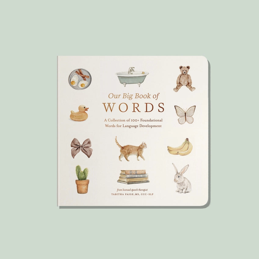 Our Big Book of First Words (Board Book)