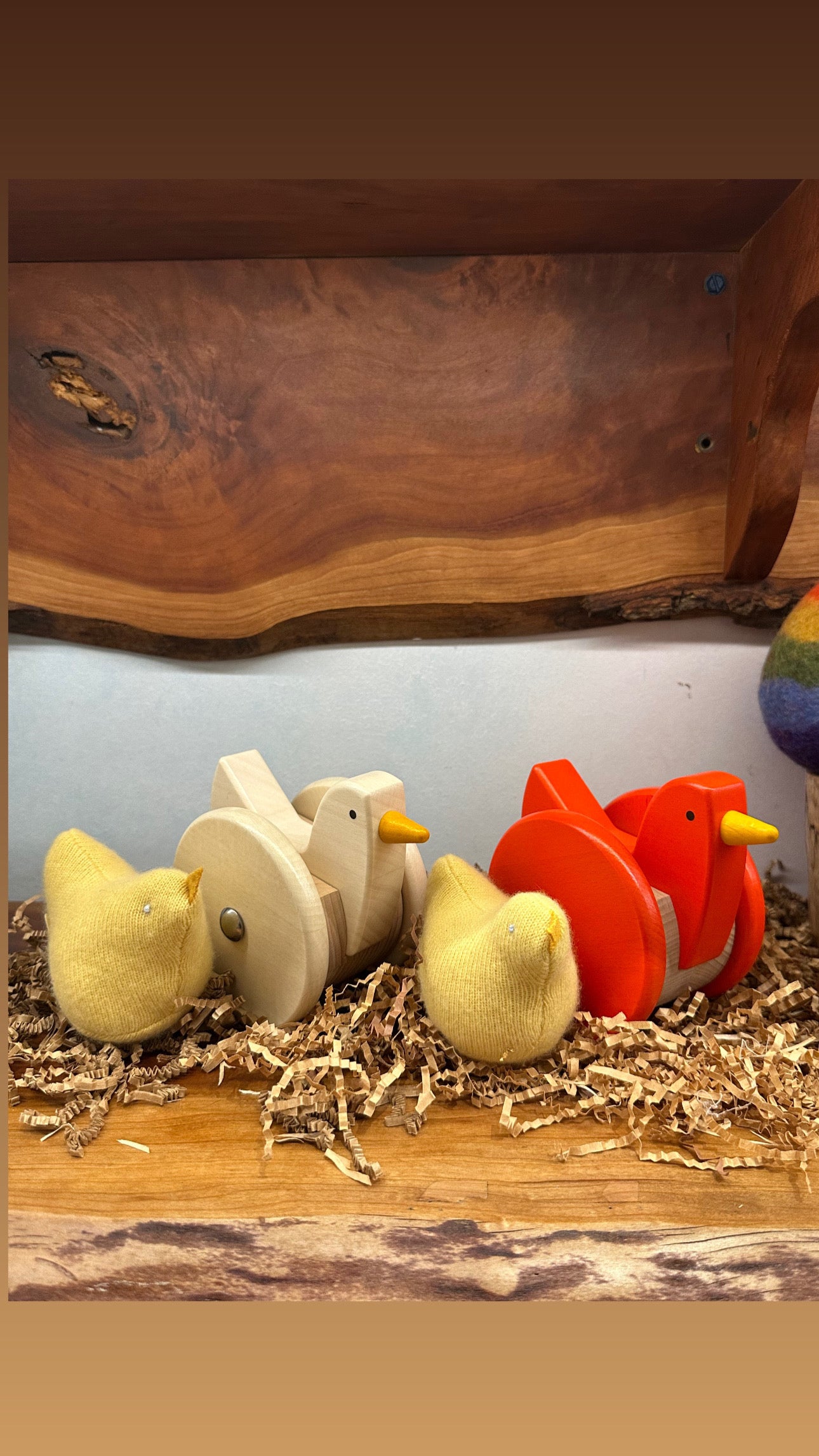 Chicks