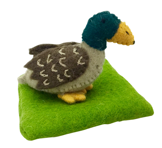 Lucky Duck Book + Toy
