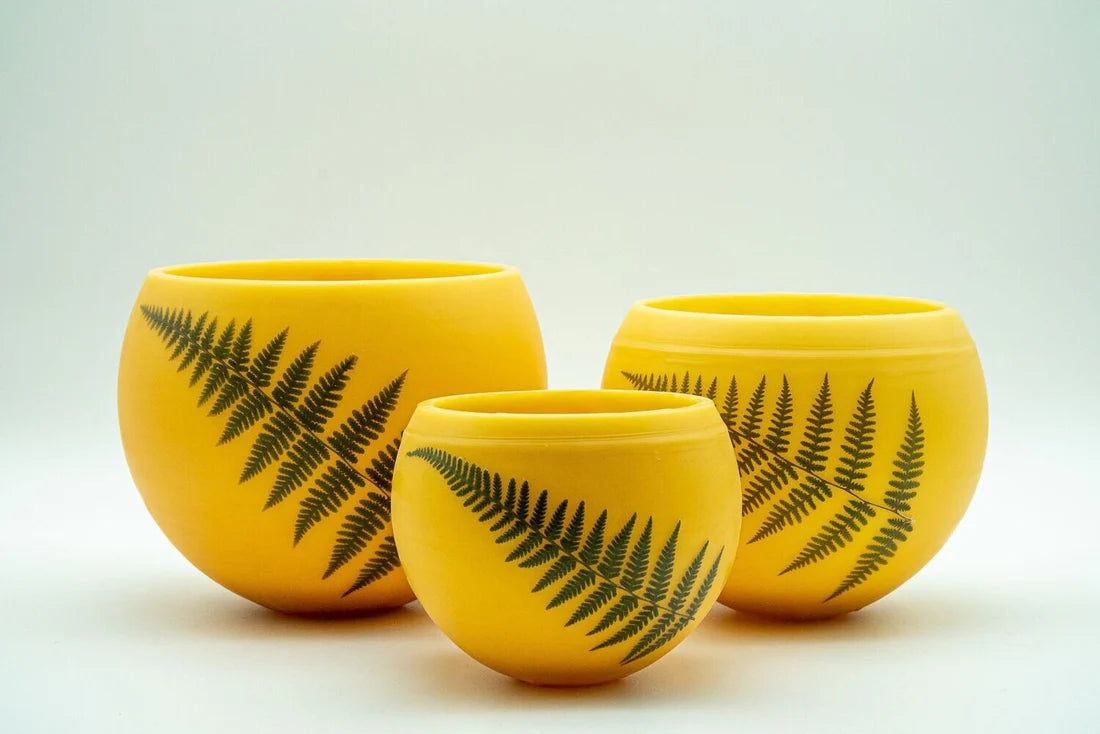 Fern S