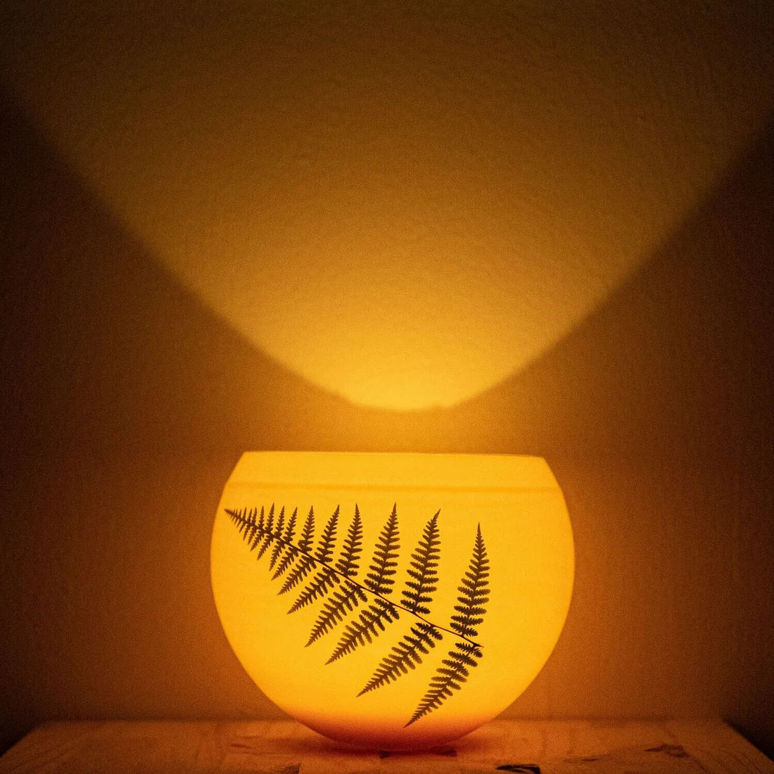 Fern S