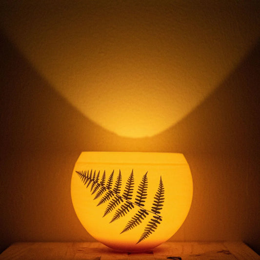 Fern S