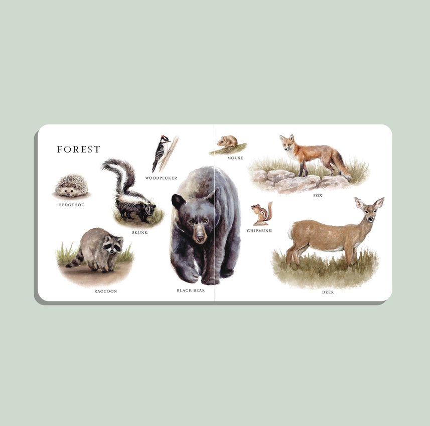 Our Big Book of Animals (Board Book)