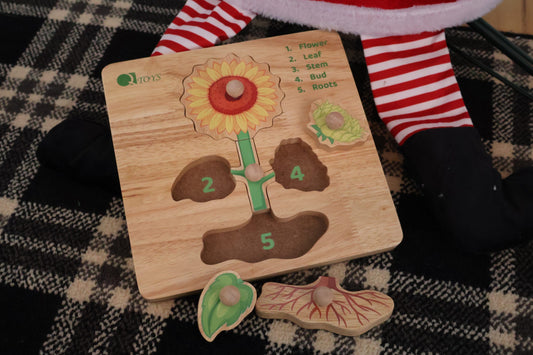 Montessori Parts of a Plant Puzzle