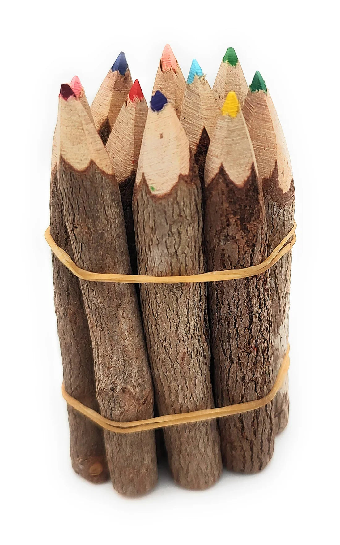 3.5 Inch Jungle Vine Pencils