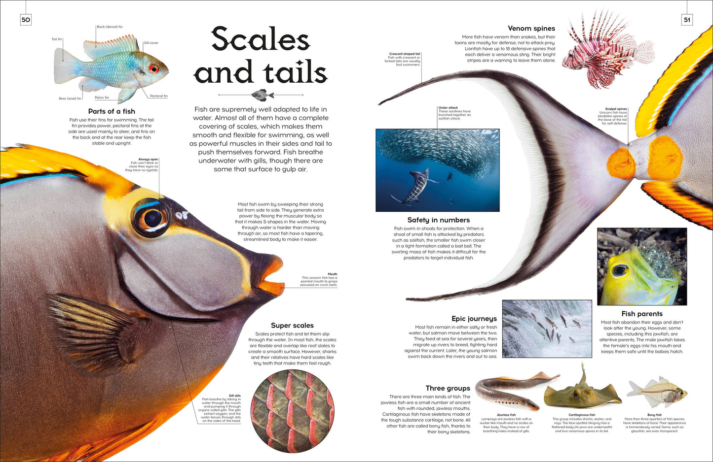 Shapes Of Nature
