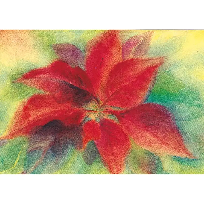 Postcard Marjan van Zeyl - Christmas Flower