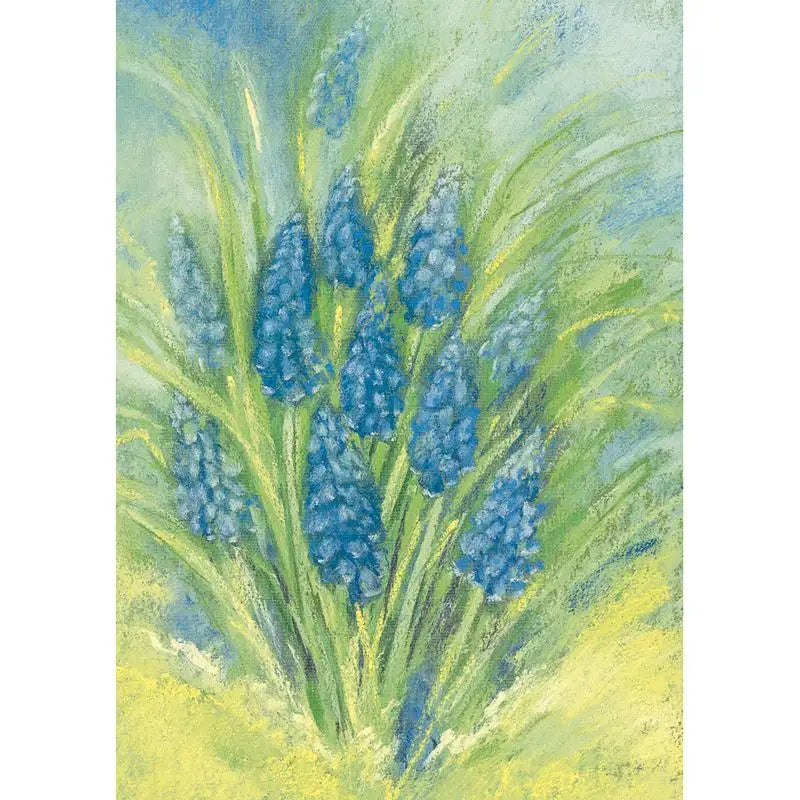 Postcard Marjan van Zeyl - Grape Hyacinth