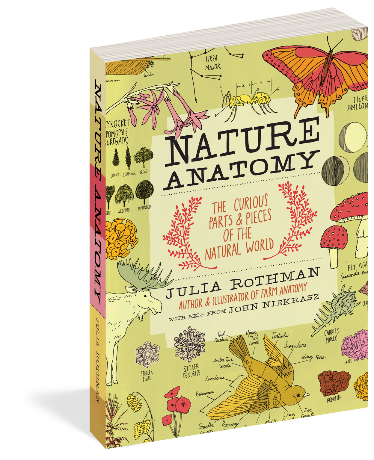 Nature Anatomy