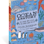 Ocean Anatomy