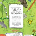 Julia Rothman’s Nature Anatomy Activity Book