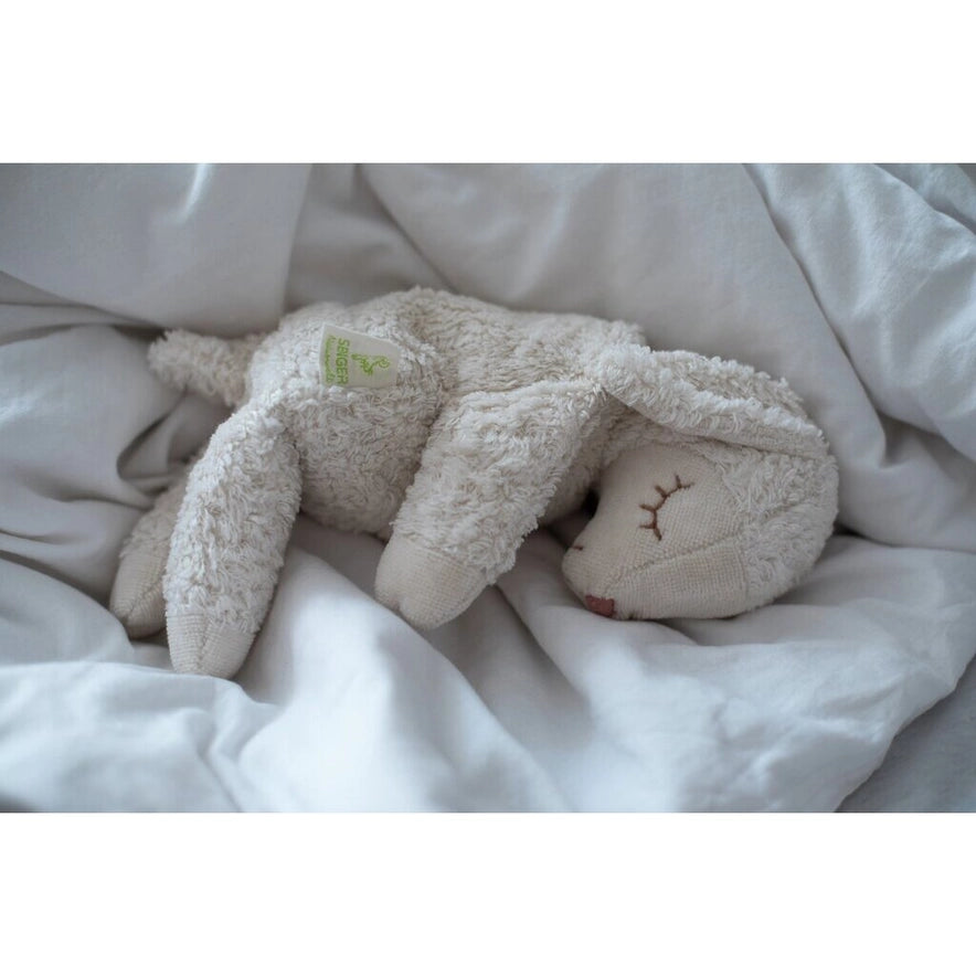 Cuddly Animal White Sheep Small