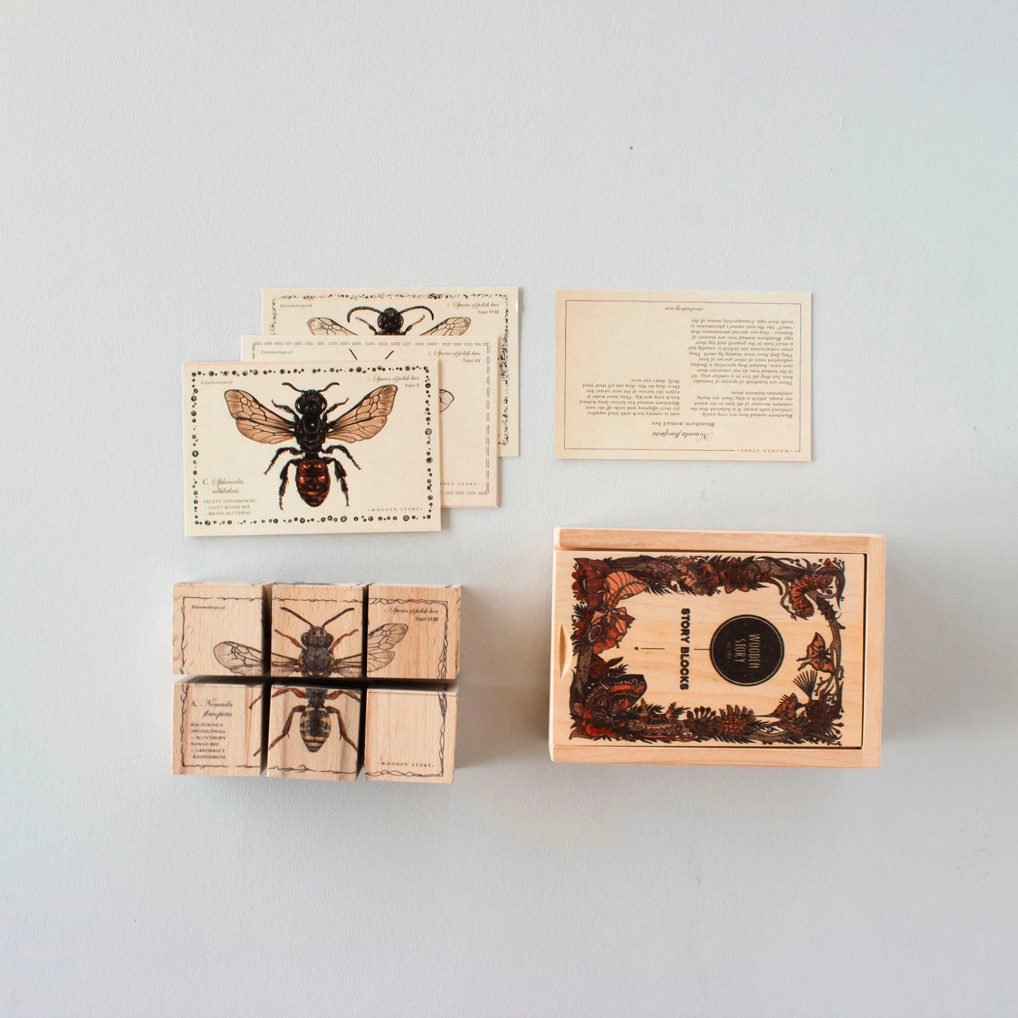 BLOCKS SPECIES OF BEES