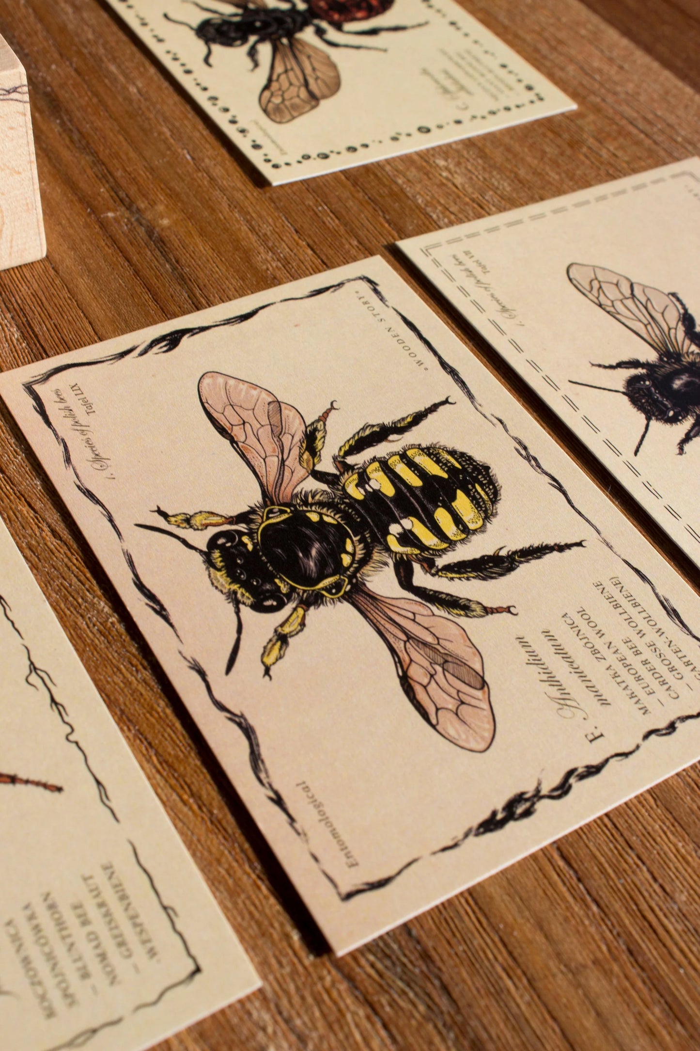 BLOCKS SPECIES OF BEES