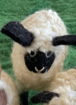 Flock of Sheep/3pcs