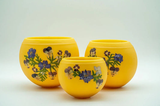Blue Larkspur L