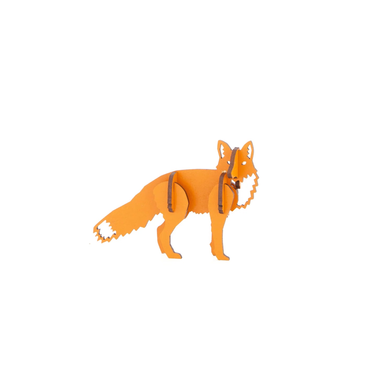 Curious Fox - S / Orange