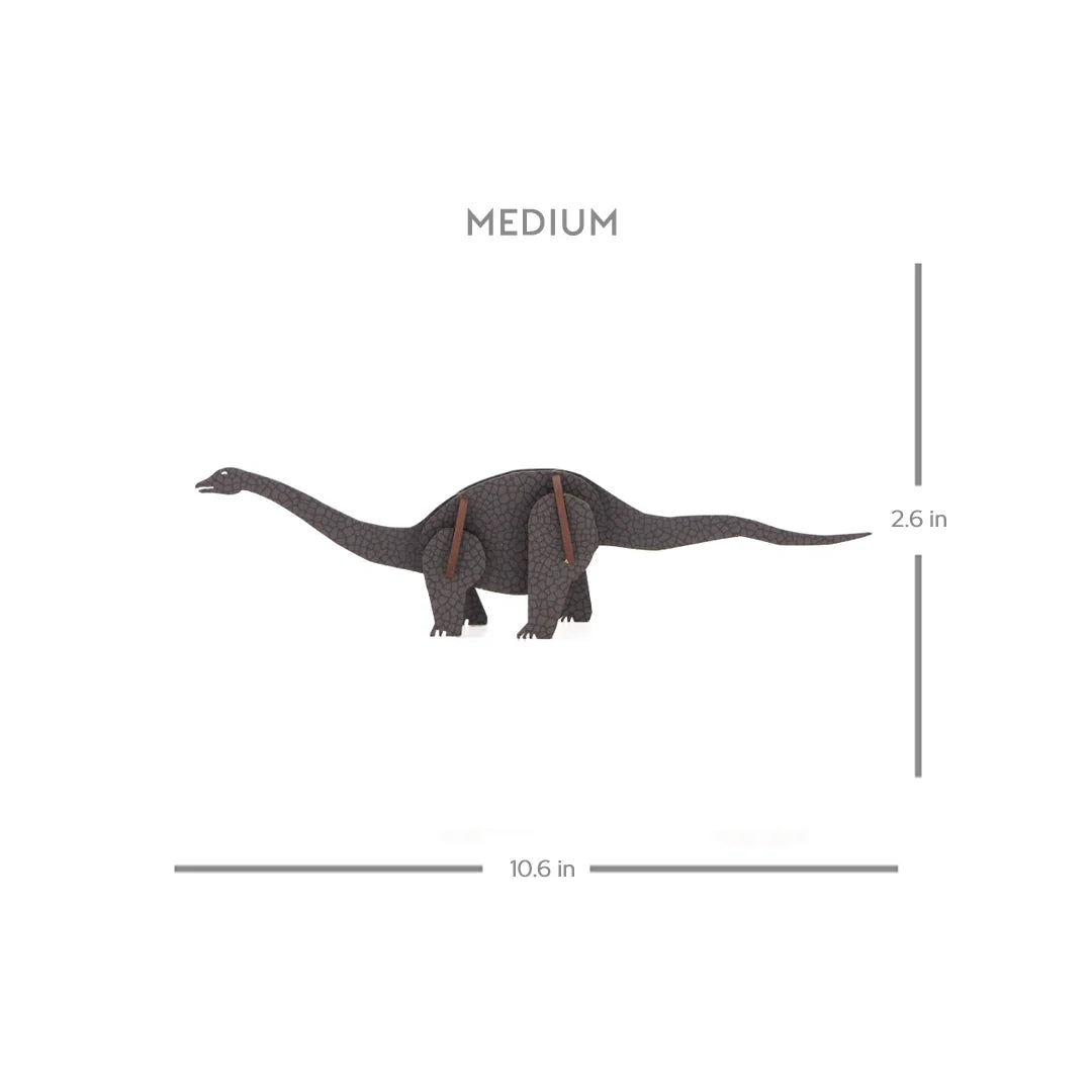 Diplodocus - M / Scute Black