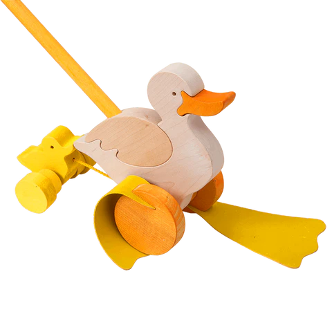 Duck Push Toy