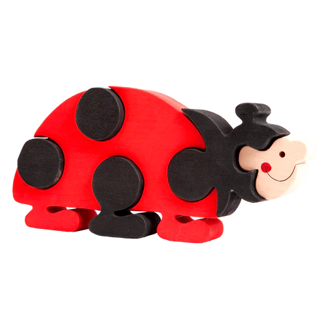Ladybug Puzzle
