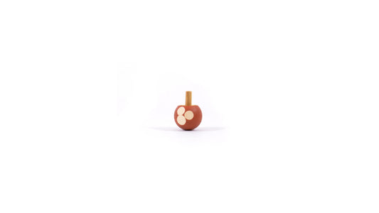 Boletus spinning top