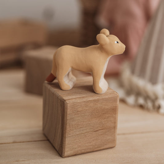 Lion cub - standing