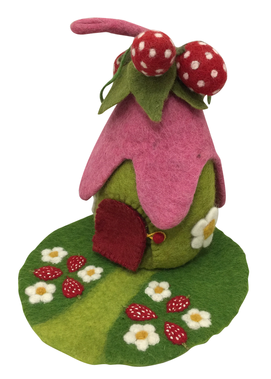 Strawberry House and Mat