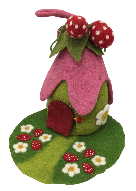 Strawberry House and Mat