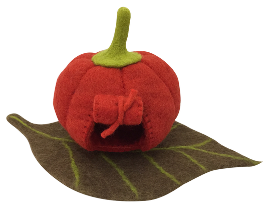 Fairy Pumpkin House and Mat
