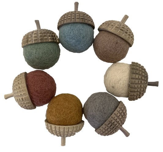 Earth Acorn/1pc