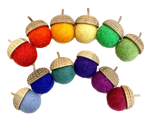 Goethe Acorn/1pc