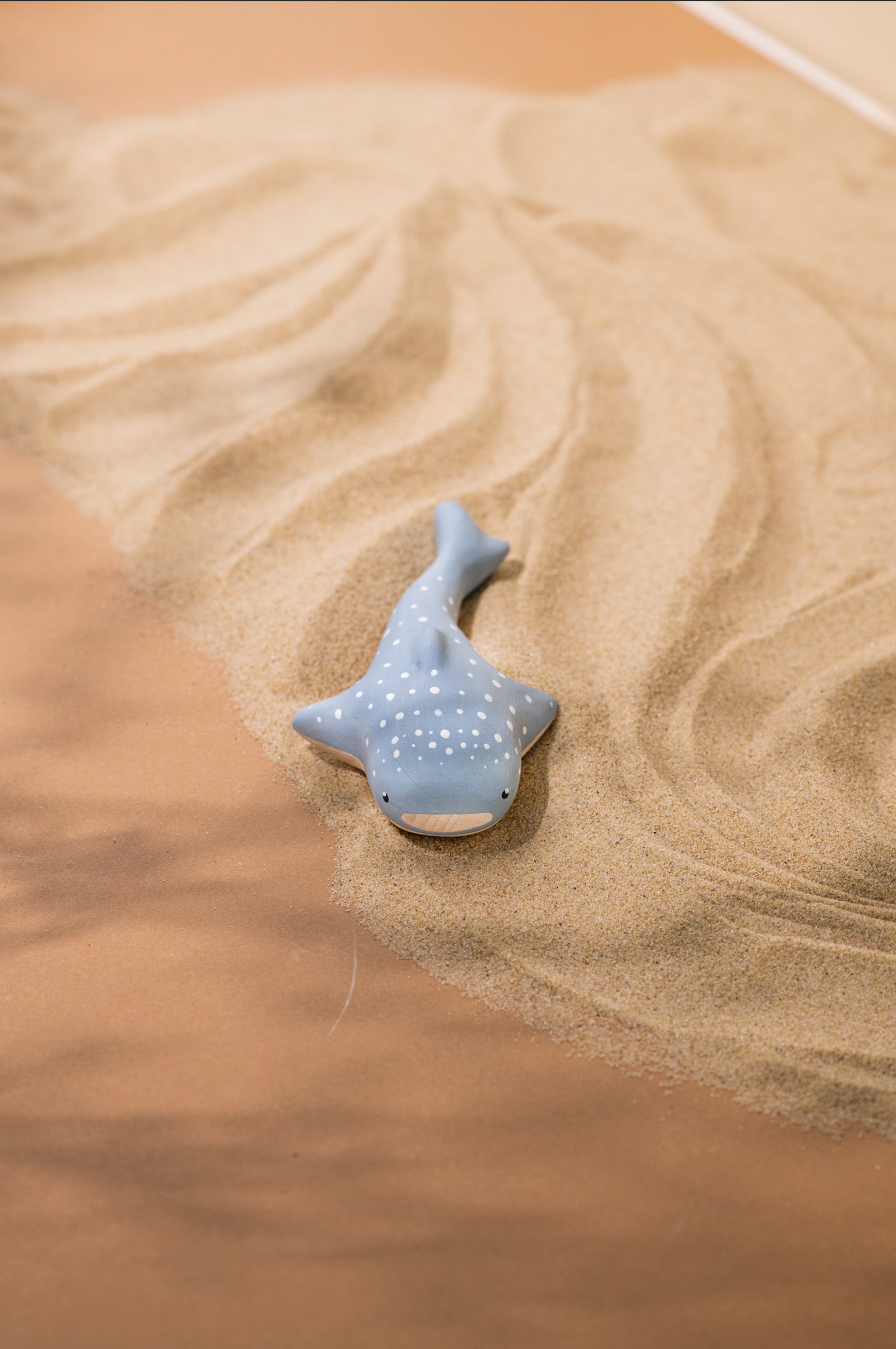 Whale shark
