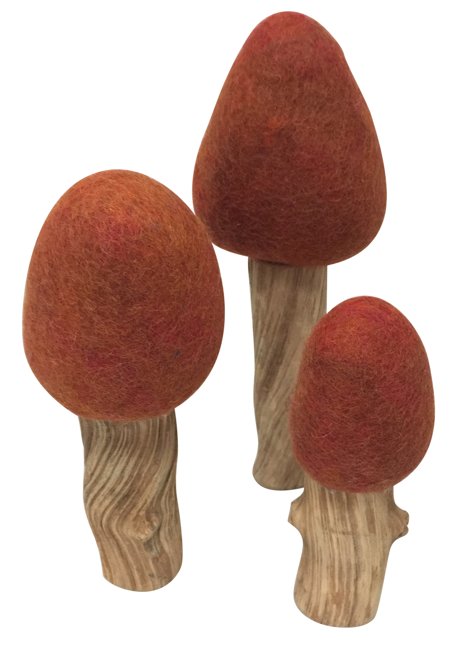 Autumn Trees/3pc